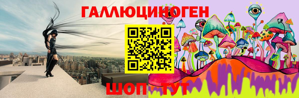 Южноуральск  Галлюциногенные грибы Cubensis  Вход с VPN 